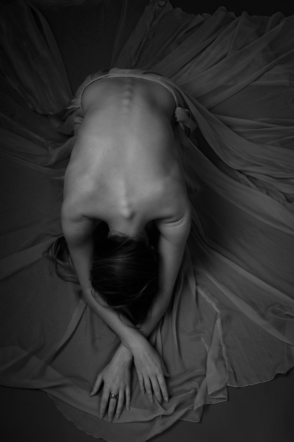 Fine Art Nude Collection