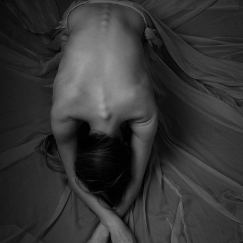 Fine Art Nude Collection