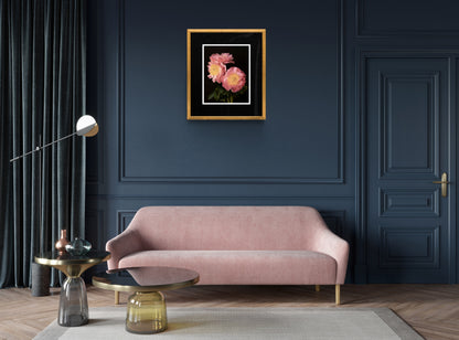 3 Pink Peonies Bouquet – Floral Art Print
