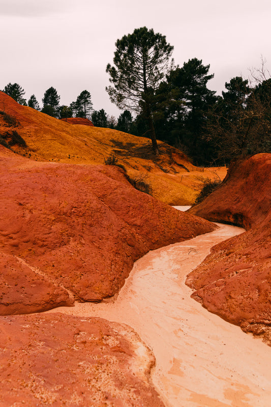 Provence Colorado Landscape Fine Art Photography Wall Art