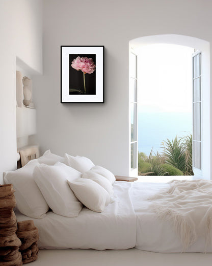 Peony Flower Art Print, Flower head wall art, floral home decor