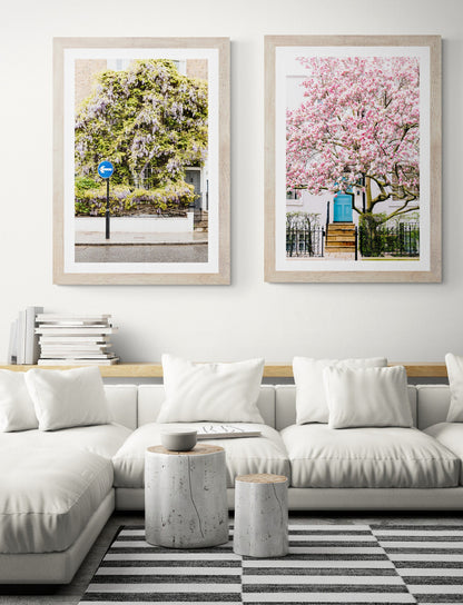 Pink Blossom Tree, Streets of London Photography Unframed Print, Magnolia Tree Blossom, London Wall Art, Floral Wall Decor Pastel Room Decor