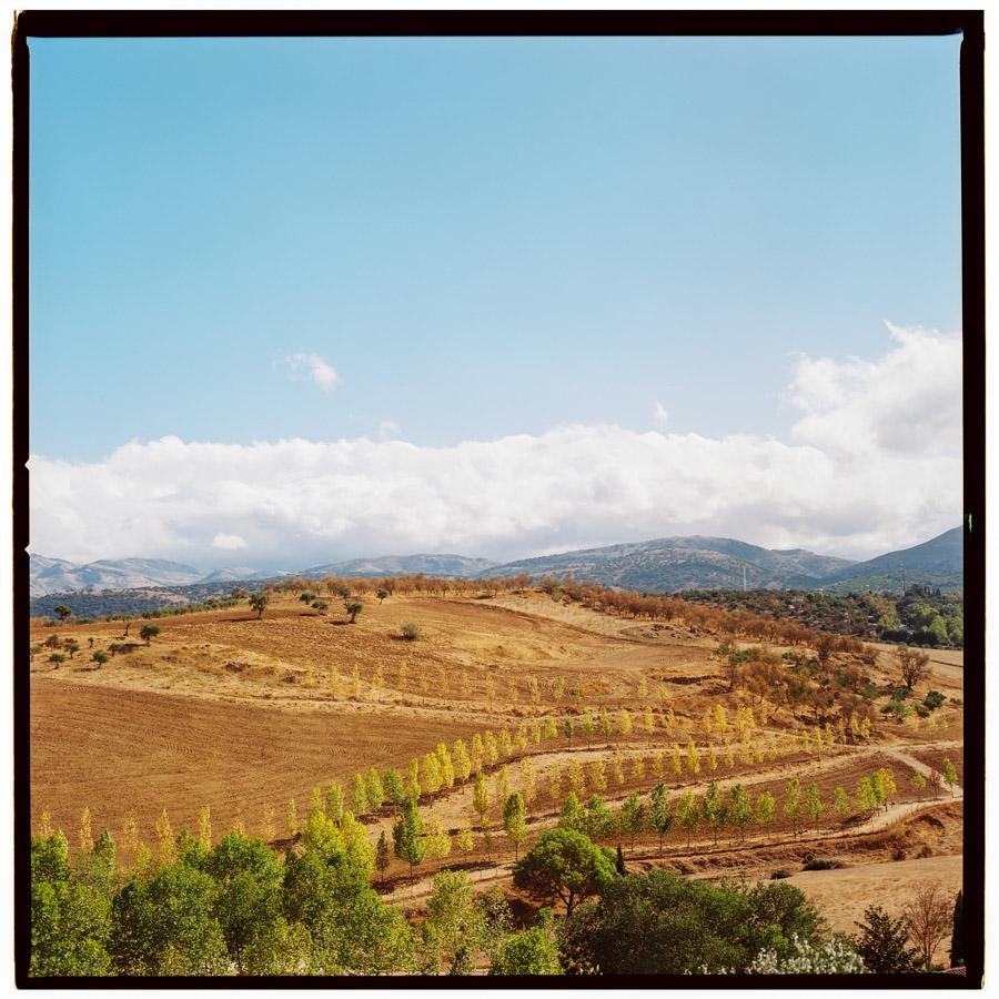 Ronda Valley analogue photography print  Spain travel photo, landscape home decor