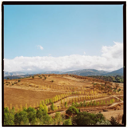 Ronda Valley analogue photography print  Spain travel photo, landscape home decor