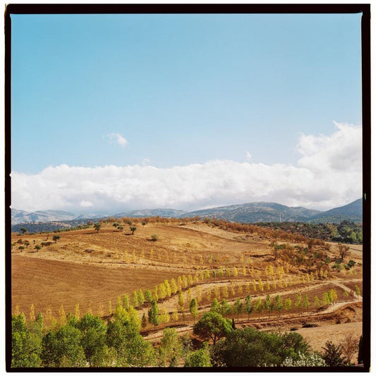 Ronda Valley analogue photography print  Spain travel photo, landscape home decor