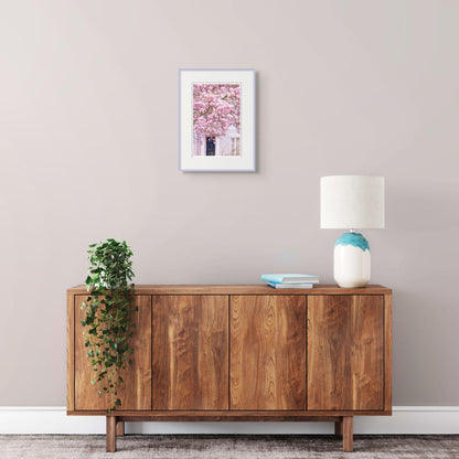Pink magnolia blossom photography print  london spring floral wall decor