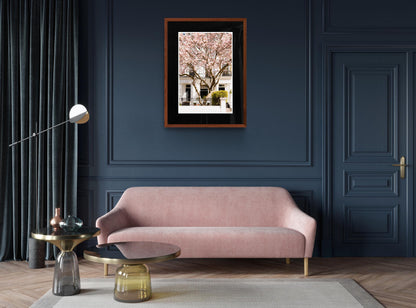 London pink magnolia tree blossom photography print - spring floral wall art home decor