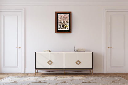 London pink magnolia tree blossom photography print - spring floral wall art home decor