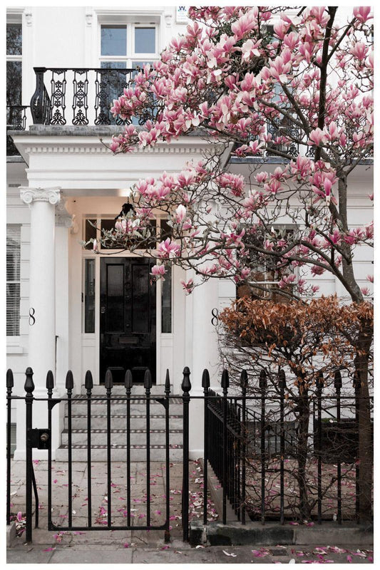 Magnolia Wall Art, London Spring Blossom Photography Print