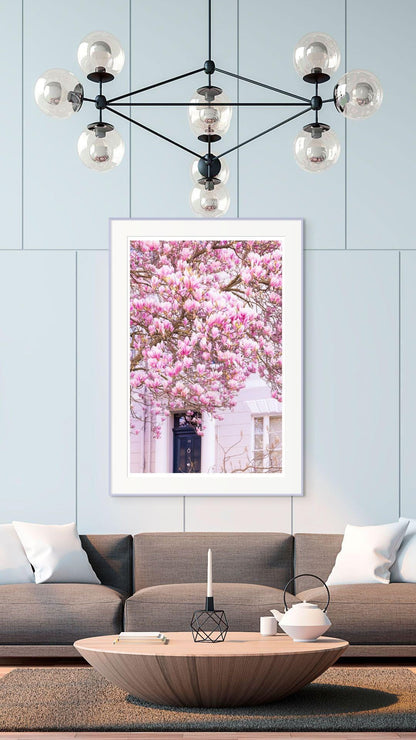 Pink magnolia blossom photography print  london spring floral wall decor