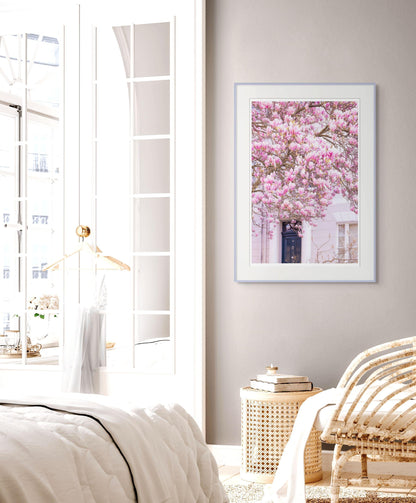 Pink magnolia blossom photography print  london spring floral wall decor
