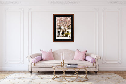 London pink magnolia tree blossom photography print - spring floral wall art home decor