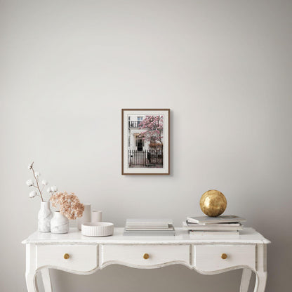 Magnolia Wall Art, London Spring Blossom Photography Print