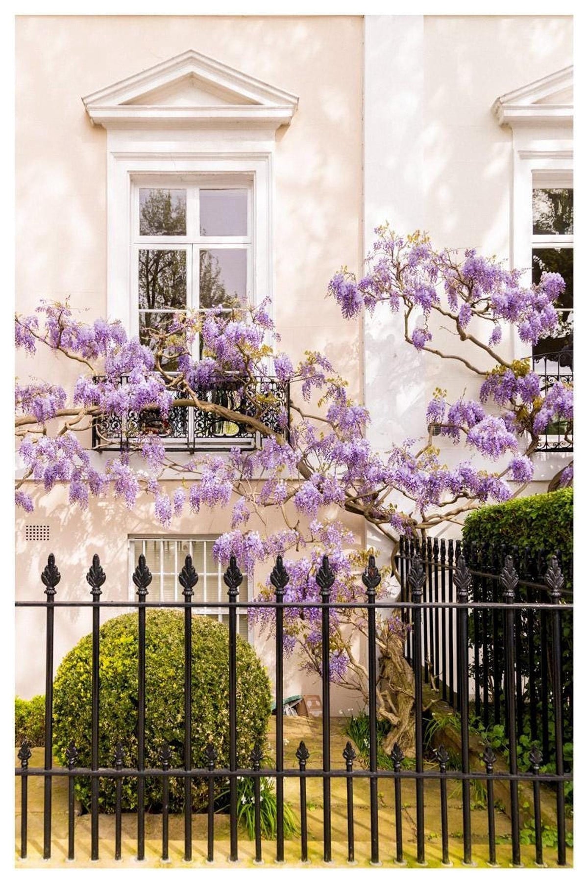 Wisteria Wall Art, London Townhouse Photography
