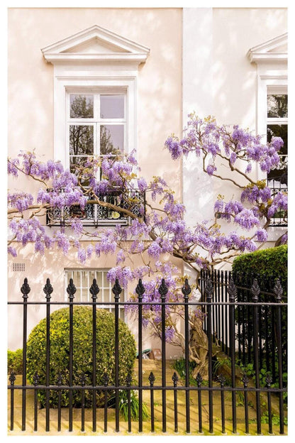 Wisteria Wall Art, London Townhouse Photography