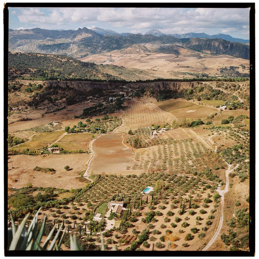 Spain Wall Art, Ronda Landscape Film Photography Print | Square Format